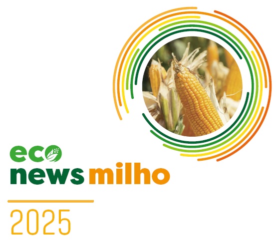 ANPROMIS divulga newsletter EcoNews - Milho 2025